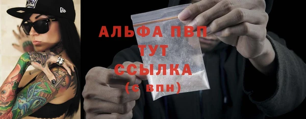 крисы Алексин