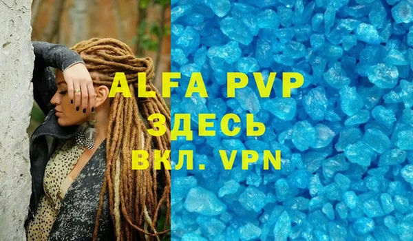 сатива Алзамай