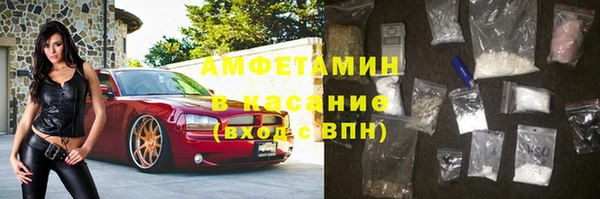сатива Алзамай
